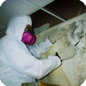 There-to-Repair can offer professional assessment and mold remediation, mold removal and mold prevention solutions at any property like the one in this image with complete follow-up restoration